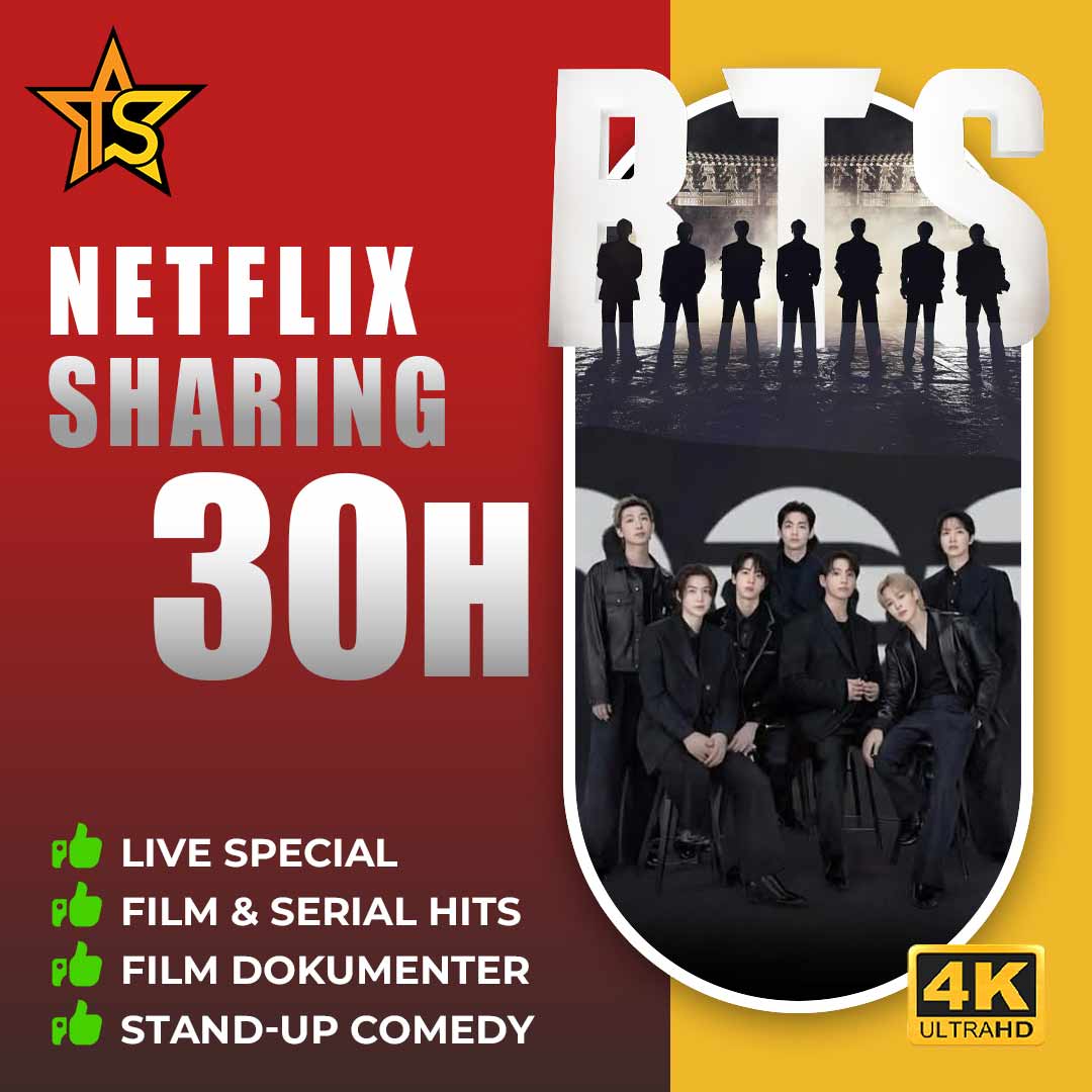 Netflix Sharing 30 H